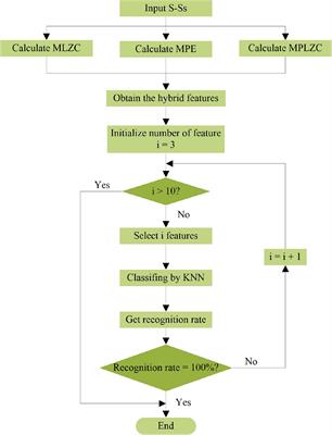 Multi-scale permutation Lempel-Ziv complexity and its application in feature extraction for Ship-radiated noise